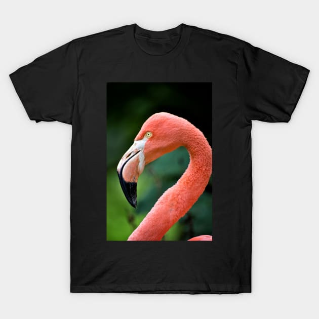 Flamingo Bird T-Shirt by InspiraImage